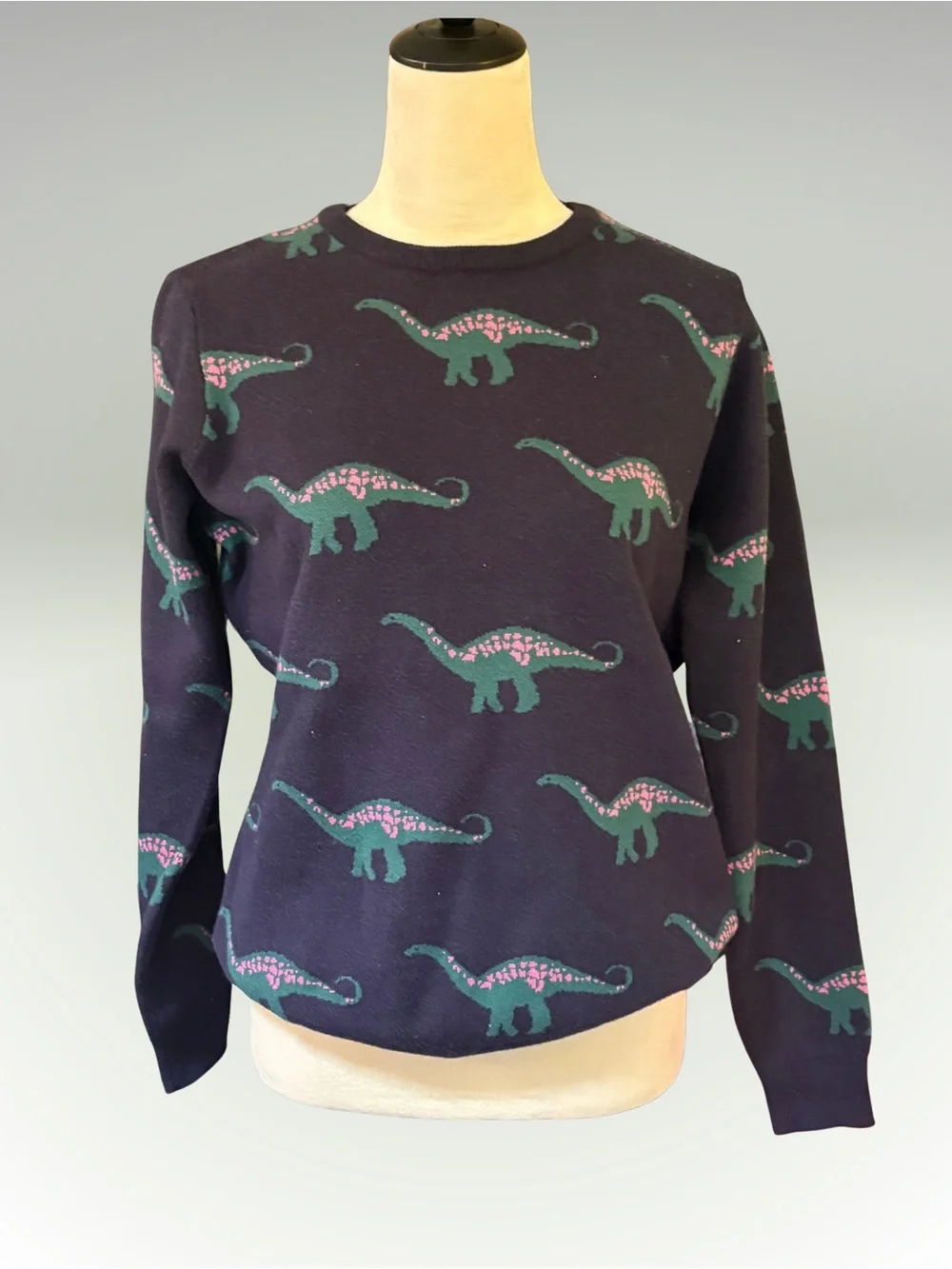 Sugarhill Brighton Dinosaur Pattern Sweater